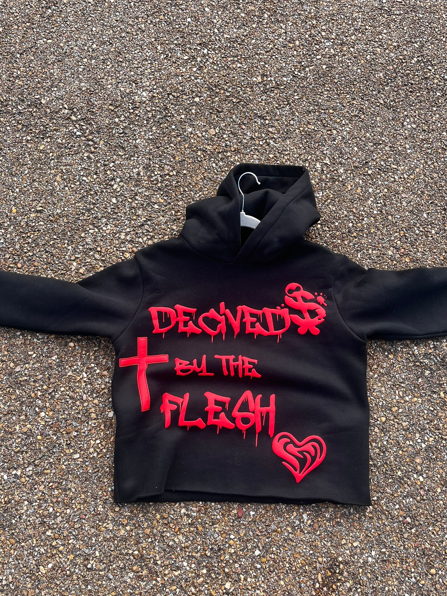 Deceived by the flesh hoodie cropped hoodie